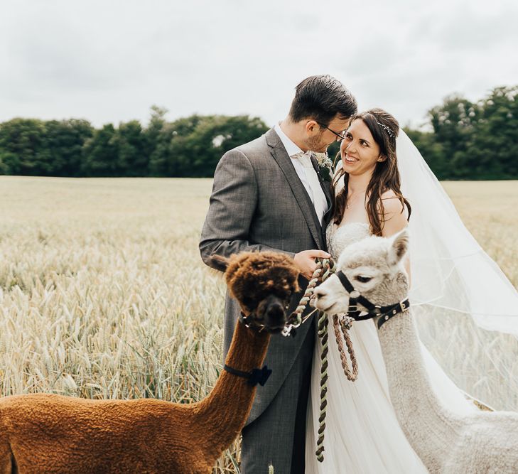 Bride and groom with Alpaca wedding guests