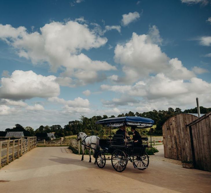 Horse and Carriage Transport