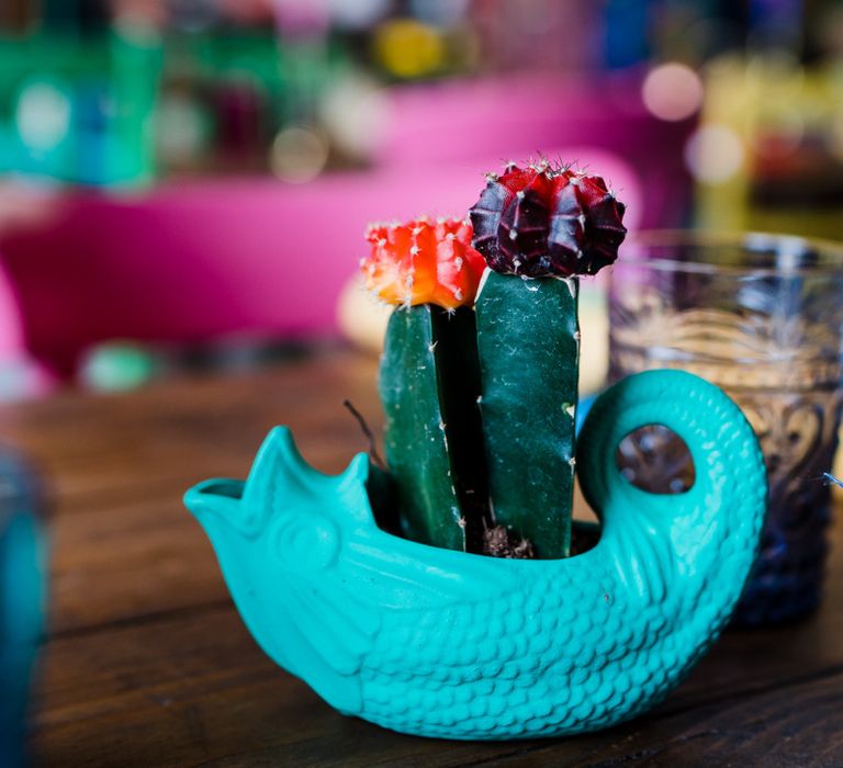 Ceramic vase with cactus plant