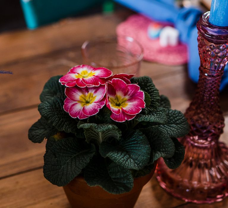 Plant pot table decor