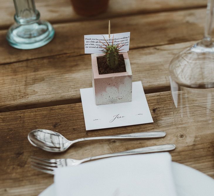 Potted Cactus Wedding Favour