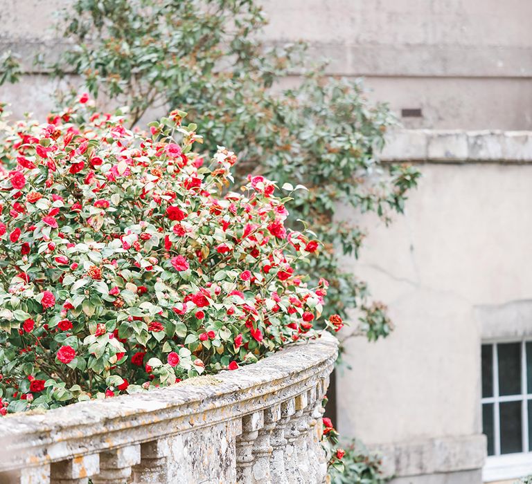 Effortless French Chic at Hale in Hampshire | Charlotte Wise Fine Art Photography