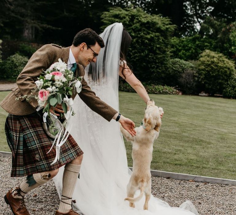 Pet dog jumping up at the bride and groom