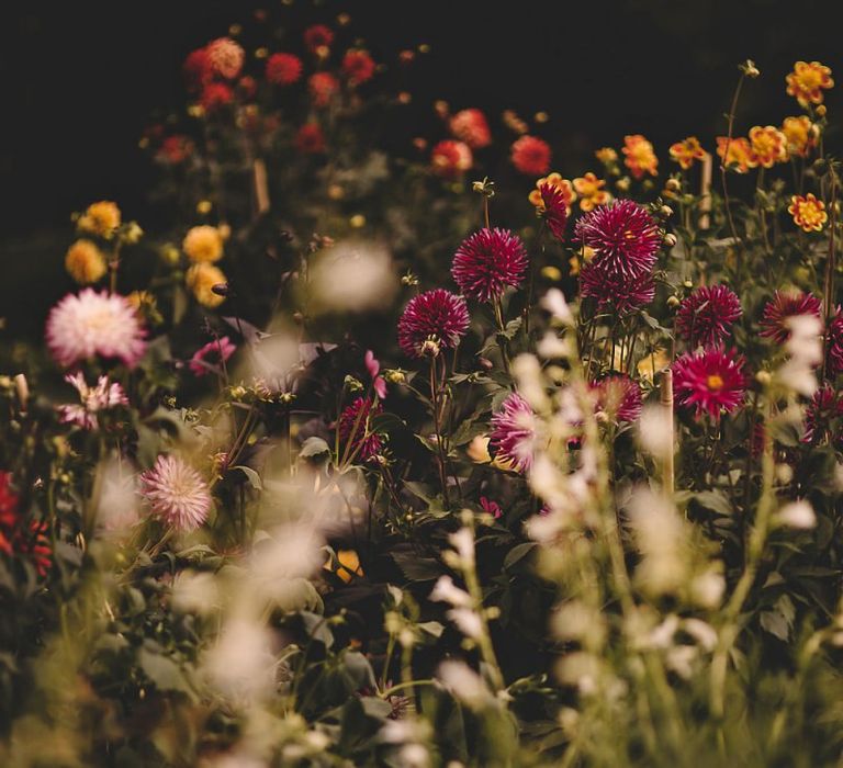 Wild meadow home-grown flowers for traditional English country wedding