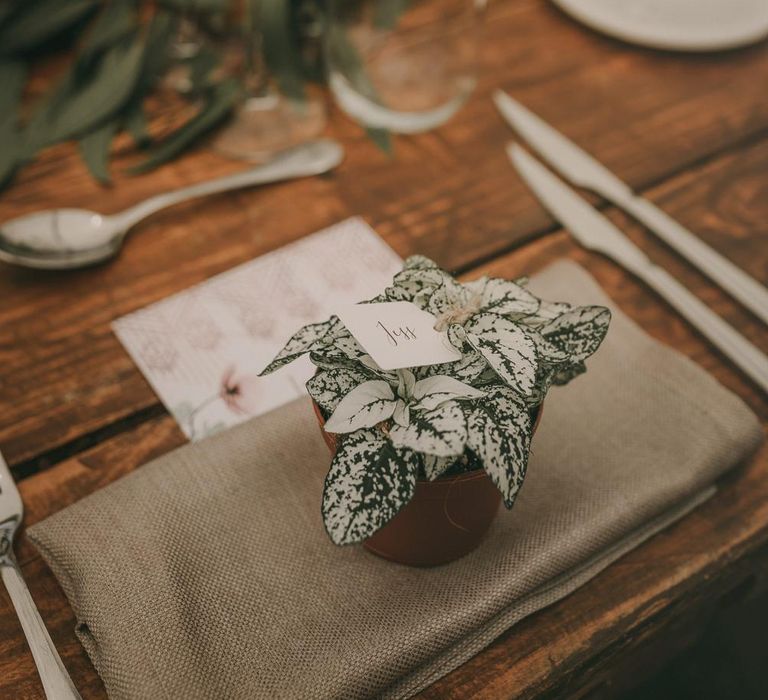 Succulent Wedding Favours For Guests // Wes Anderson Inspired Destination Wedding Planned &amp; Styled By Paloma Cruz Events With Images From Pablo Laguia &amp; Film By David Rodriquez