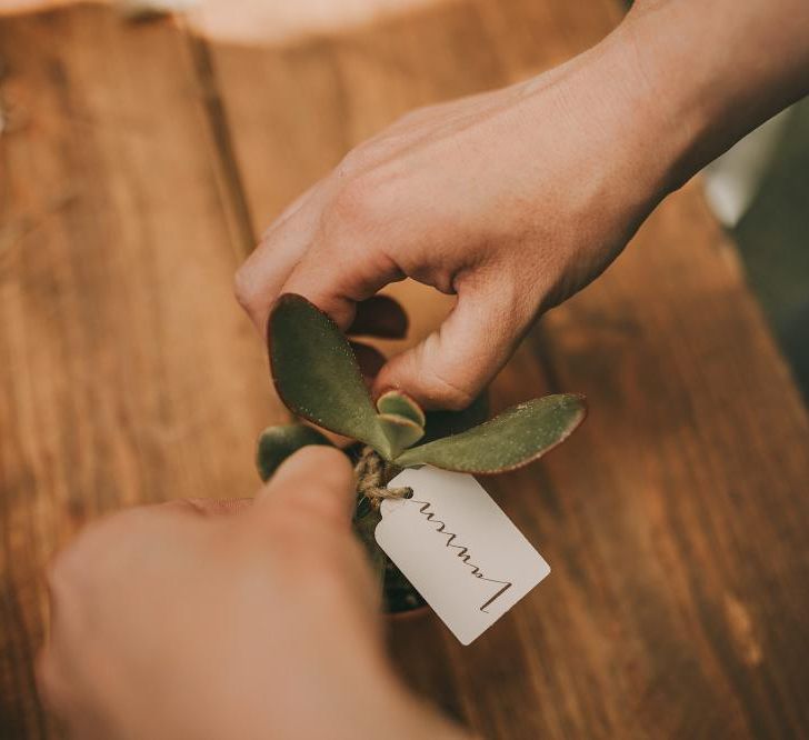 Succulent Wedding Favours For Guests // Wes Anderson Inspired Destination Wedding Planned &amp; Styled By Paloma Cruz Events With Images From Pablo Laguia &amp; Film By David Rodriquez