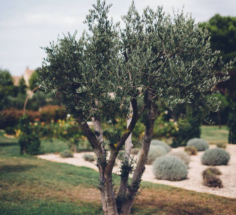 Outdoor Destination Wedding at Le Peit Hameau Wedding Venue Provence, South of France Planned by By Mademoiselle | Lovestruck Photography