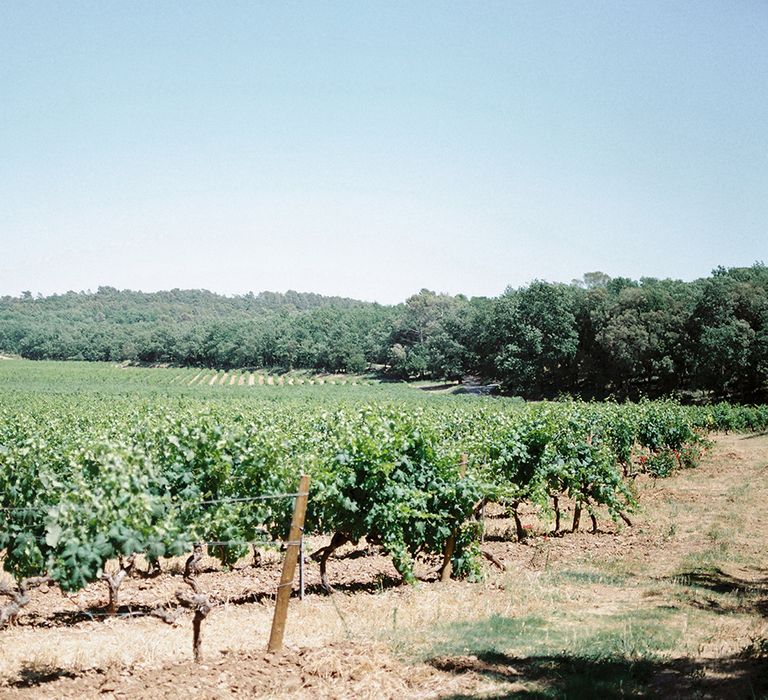 Vineyard | Outdoor Wedding at Commanderie de Peyrassol, Provence, France Styled by La Chuchoteuse | Lace Bridal Gown | Black Tie Suit | Rustic Stretch Tent Reception | Raisa Zwart Photography