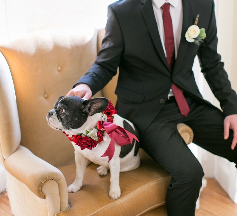 Floral Collar For Dog At Wedding // Gingerbread House For A Festive Christmas Wedding With Red And White Florals Stag Motif Stationery Planned &amp; Styled By La Fete Anneli Marinovich Photography