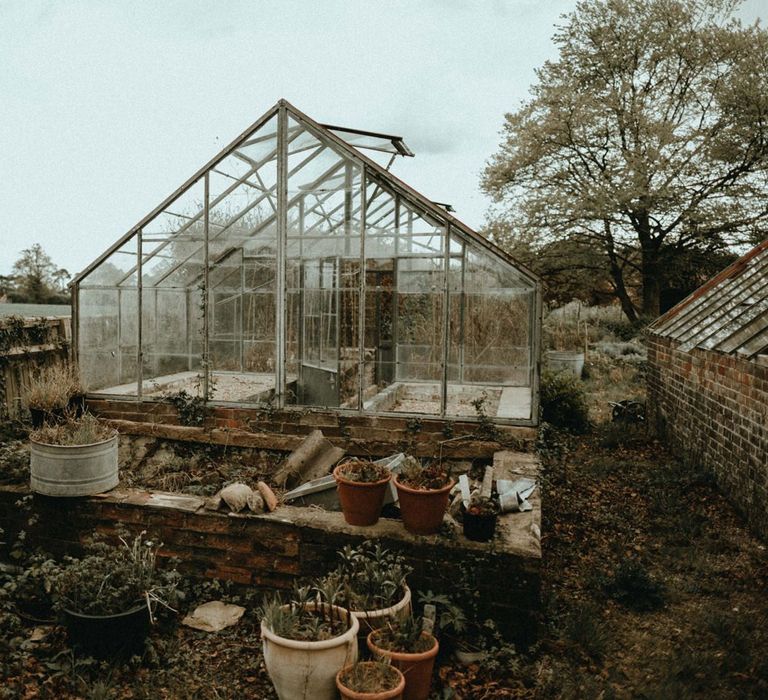 Greenhouse Photograph Backdrop