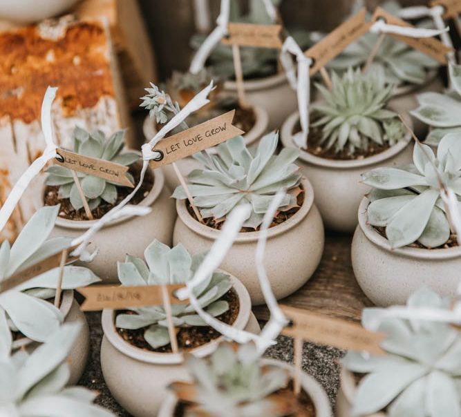 Individual Hand Grown Succulent Wedding Favours in Pots