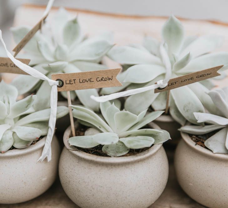 Hand Grown Succulent Wedding Favours in Individual Pots