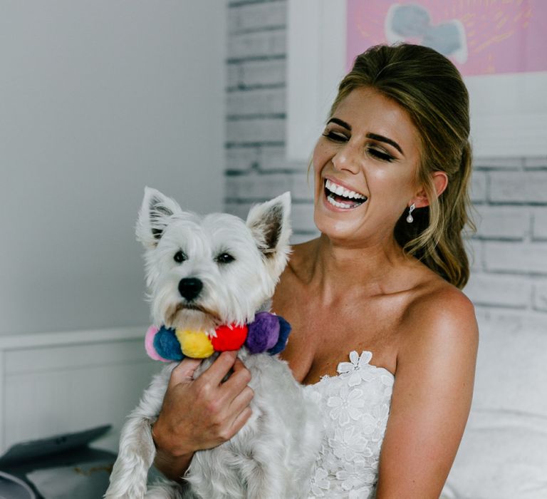 Bride and Pet West Highland White Terrier with Colourful Pom Pom Collar