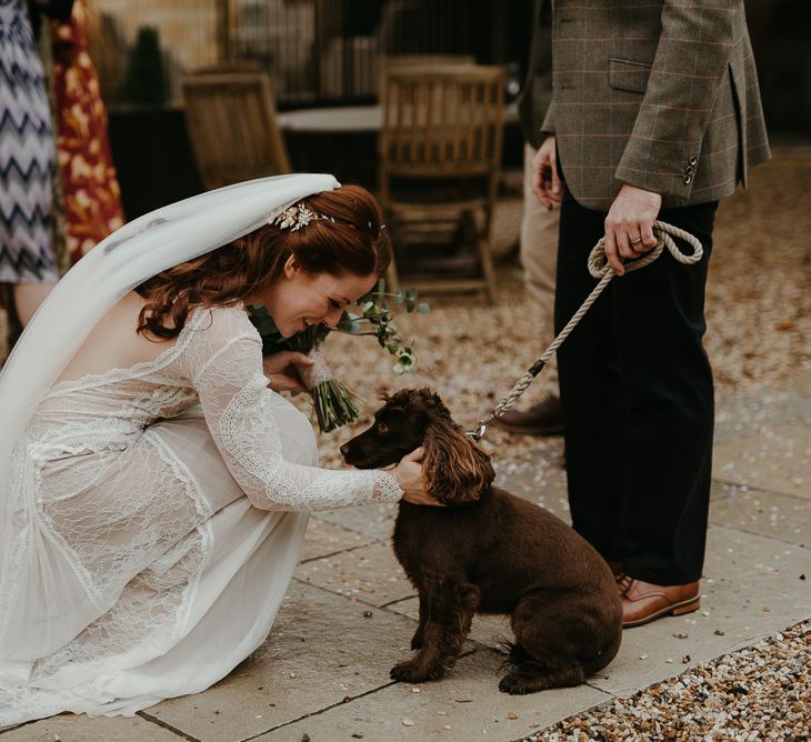 Pet Cocker Spaniel at Lapstone Barn wedding