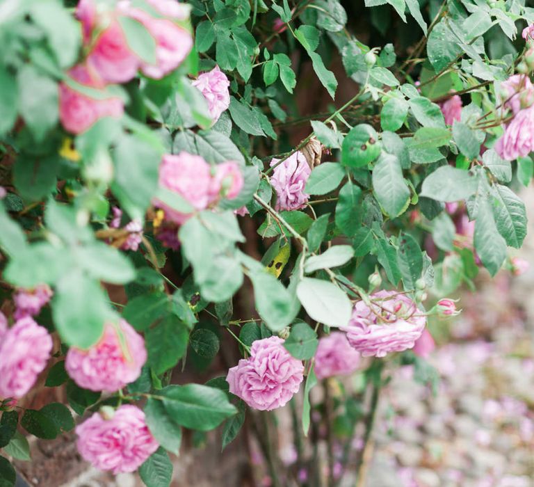 Romantic Blush Pink, Black Tie Wedding at Iscoyd Park, Shropshire | Alvina Valenta Bridal Gown | ASOS Bridesmaid Dresses | Jo Bradbury Fine Art Photography