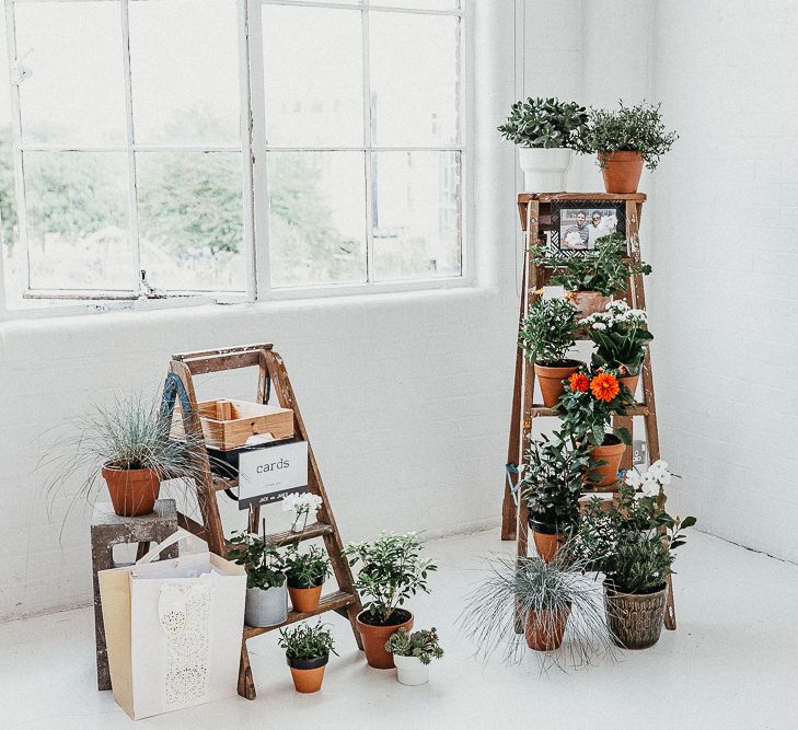 Industrial Ladder with Potted Plants | Whitewashed Walls | Cards Box | Same Sex Wedding with Industrial Styling at Wimborne House | Marmelo Photography