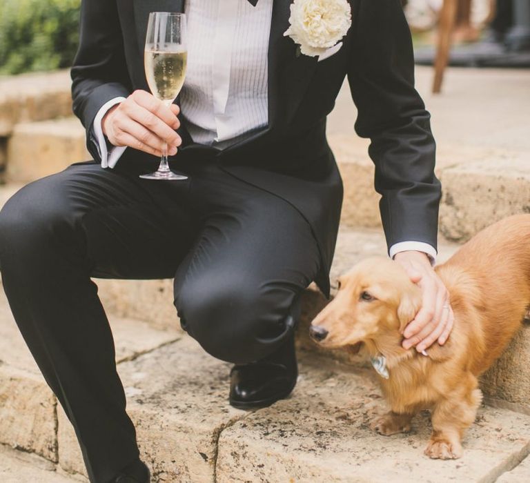 Groom in Tuxedo Stroking His Long-Haired Dachshund