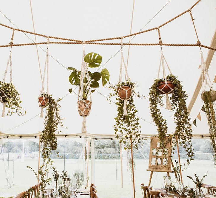 Pot Plants in Macramé Hangers