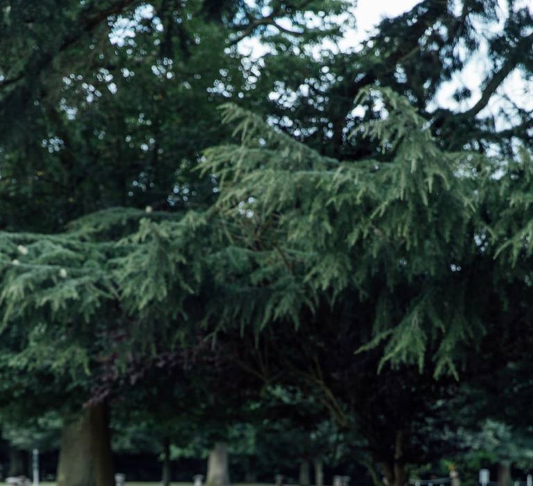 French Rustic at Northbrook Park in Surrey | Images by Charlotte Bryer-Ash