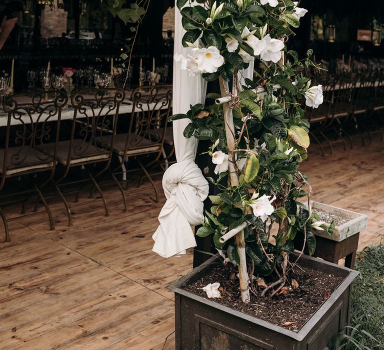 Roses Wedding Decor | Luxe Blush Pink Glasshouse Wedding at Cortal Gran, Spain Planned by La Puta Suegra  | Sara Lobla Photography