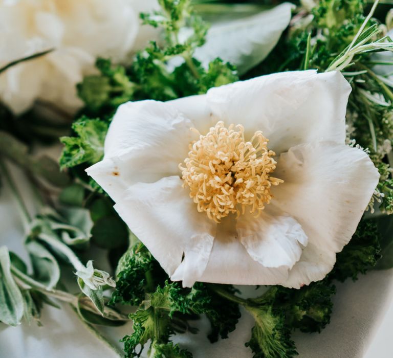 White Flowers and Foliage