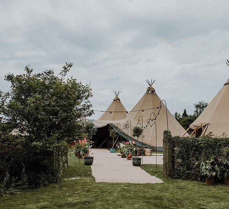 Tipi Wedding at Home, Cumbria. Pale Dusky Pink, White and Mocha Flowers, Handwritten Details and Festoon Lights. Bride wears Essence of Australia Dress from Angelica Bridal. Groom wears Olive Next Suit and Tan Office Shoes.