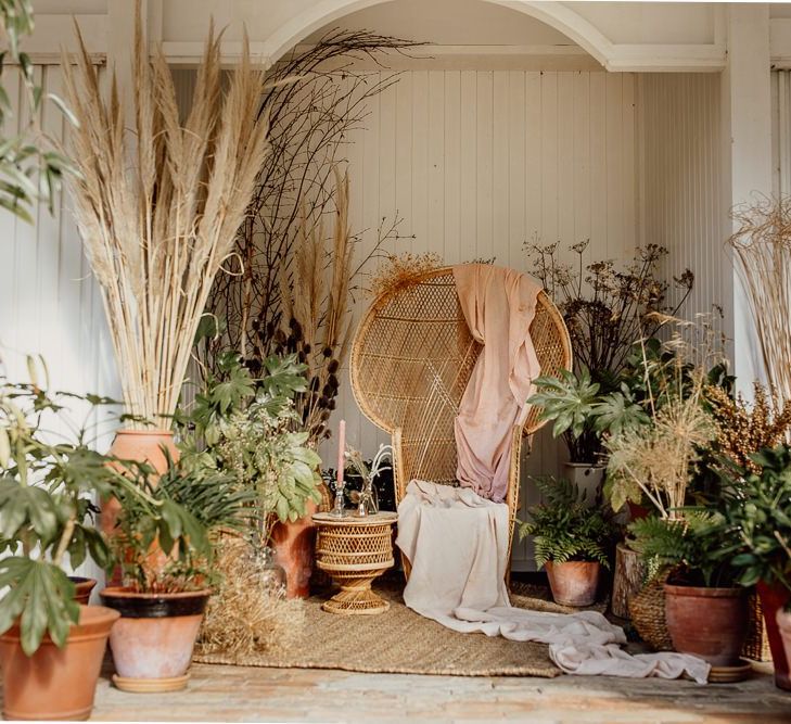 Botanical Plants, Pampas Grass and Wicker Peacock Chair Chill Out Area