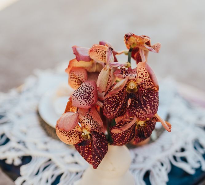 Rust coloured orchid in vessel