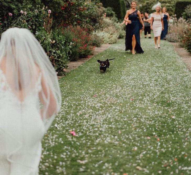 Pets at weddings