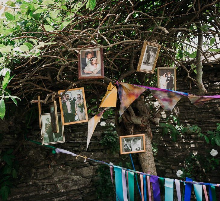 Family tree wedding portraits