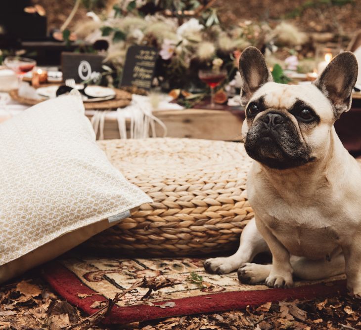 Pet Pug at Wedding Woodland Wedding Ceremony