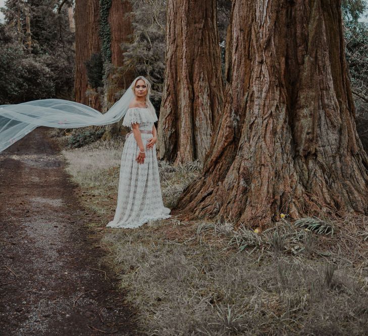 Bride in the Woods with Billowing Veil and Lace Wedding Dress