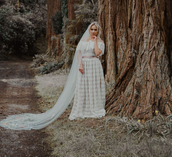 Beautiful Bride Portrait in the Woodland Showing of her Lace Wedding Dress and Veil