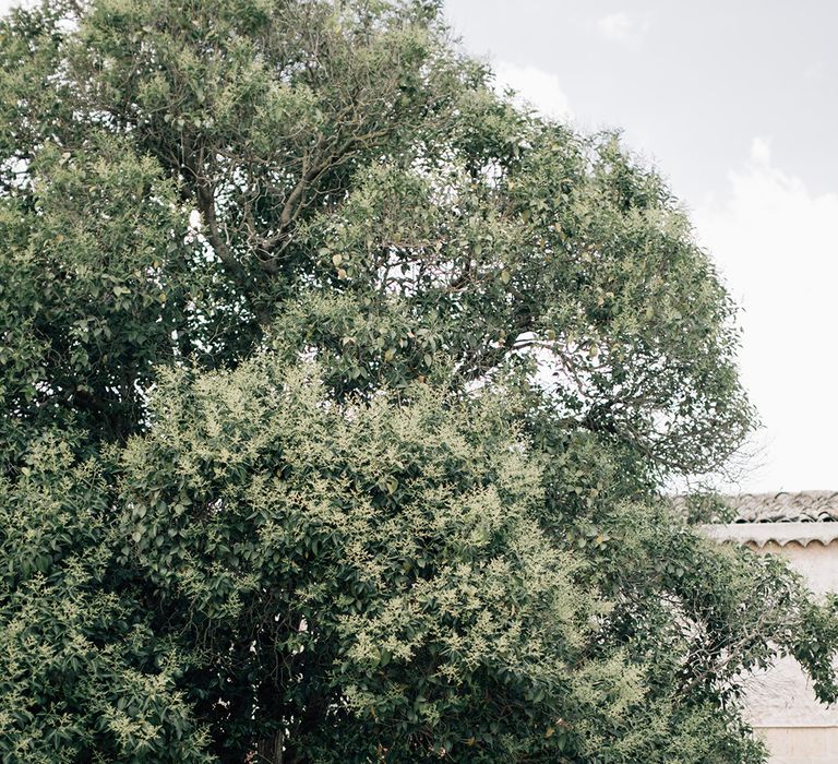 White, Pink &amp; Green Outdoor Spanish Wedding at Binissatí in Mallorca, Spain | Planned by Pasión Eventos | Wedding Dresses by Marta Planella | Marta Kowalska Photography