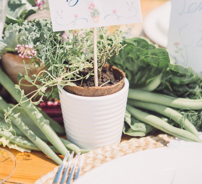 Potted Plants Wedding Decor | Pastel Peter Rabbit Spring Inspiration at River Cottage | Beatrix Potter | Mr McGregor's Garden | Succulent Vegetables &amp; Flowers | Jennifer Jane Photography