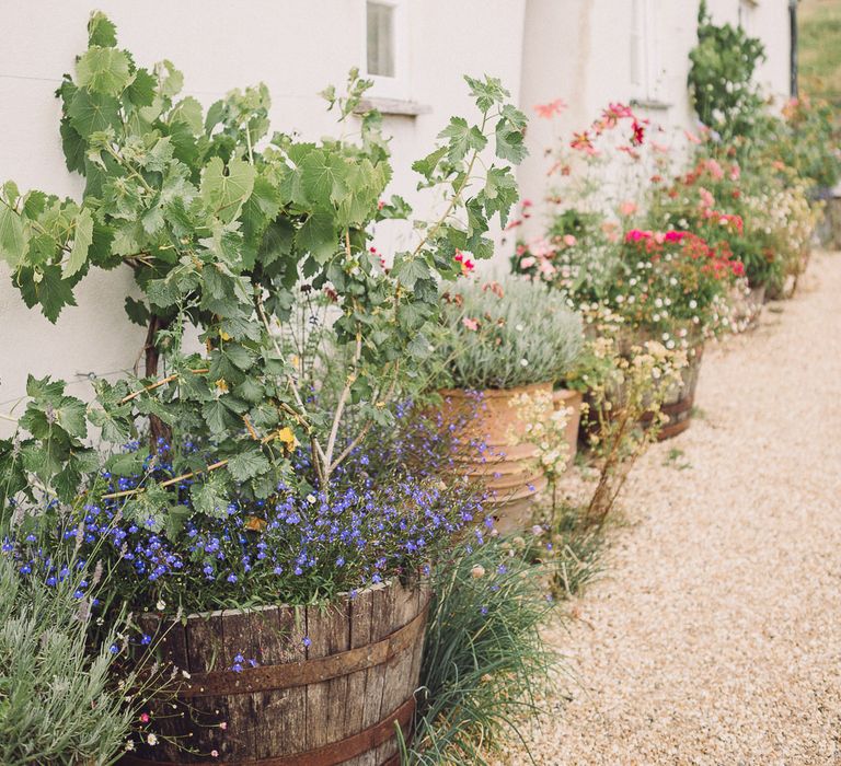 Pastel Peter Rabbit Spring Inspiration at River Cottage | Beatrix Potter | Mr McGregor's Garden | Jennifer Jane Photography