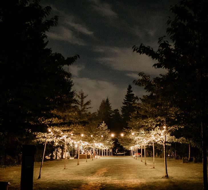 Festoon lit path at Evenley Wood Garden wedding