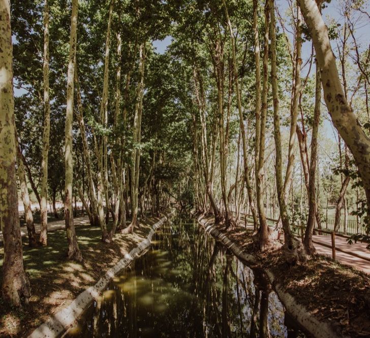 Woodland Wedding at Sa Farinera de Sant LLuis Wedding Venue, Catalan Empordà, Spain | Planned &amp; Styled by Mille Papillons | HUMà06 Photography | HUMà06 Photography