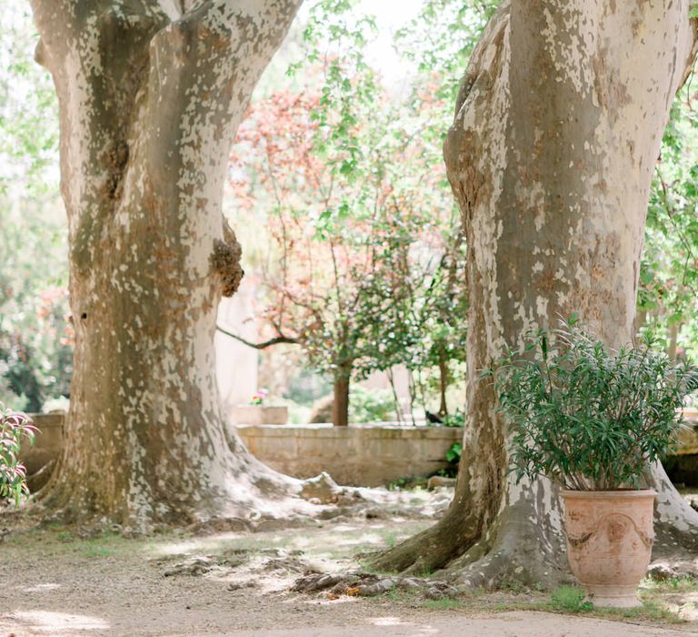 Chateau De Roussan St Remy Provence Wedding Venue With Joanne Flemming Dresses Fine Art Images From Jo Bradbury Photography