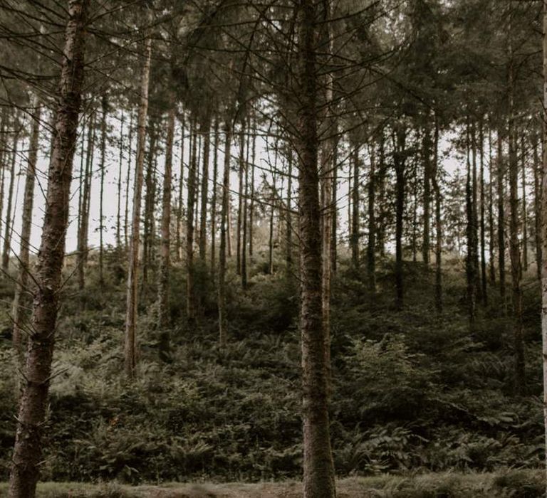 Bride and Groom Portrait in Cardinham Woods