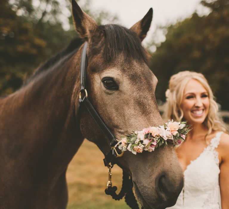 Pets at wedding with flower decoration