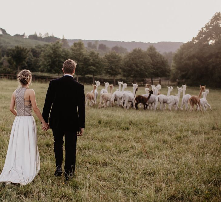 Bride and Groom With Alpacas in Field