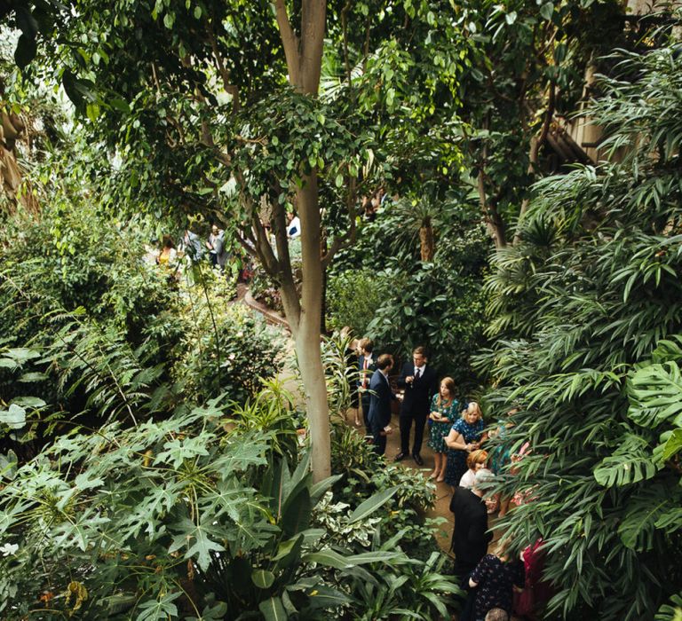 Wedding Guests Standing Barbican Conservatory in London