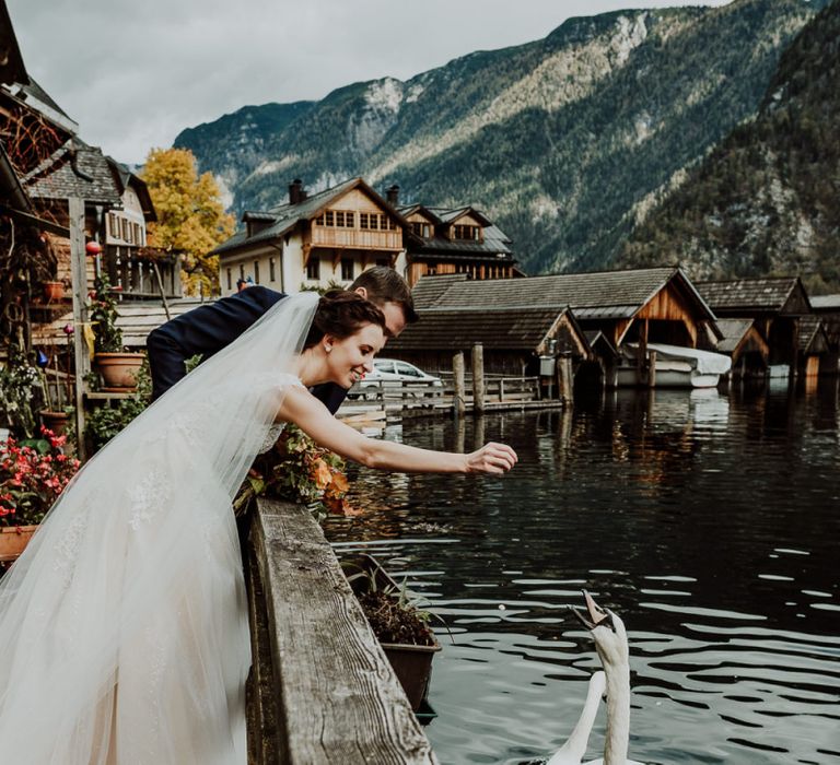 Bride and Groom Feeding The Swans in Hallstatt, Austria