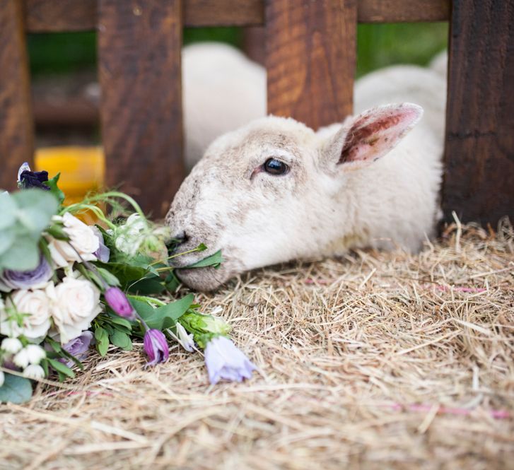 Farm Wedding // Sugar Loaf Barn Wedding // Pale Grey Off The Shoulder Bridesmaids Dresses Rewritten // Groom In Harris Tweed // Hog Roast Evening Buffet // Eleanor Jane Photography