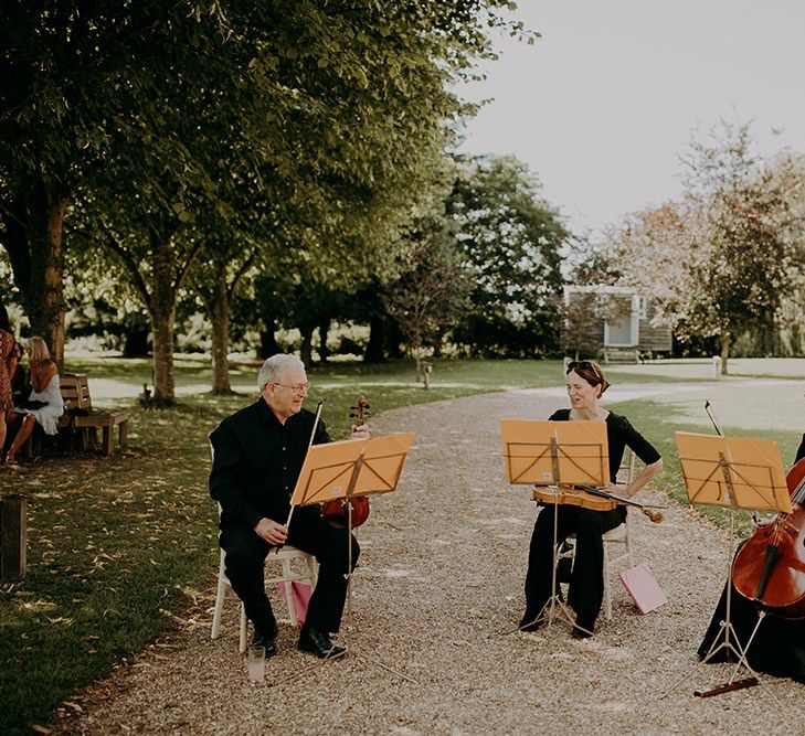 Wedding entertainment and music