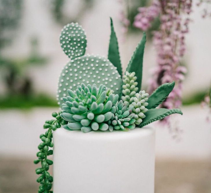 Succulent and Cactus Cake Topper