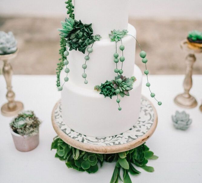 All White Wedding Cake Decorated with Green Succulents and Cactus Plants