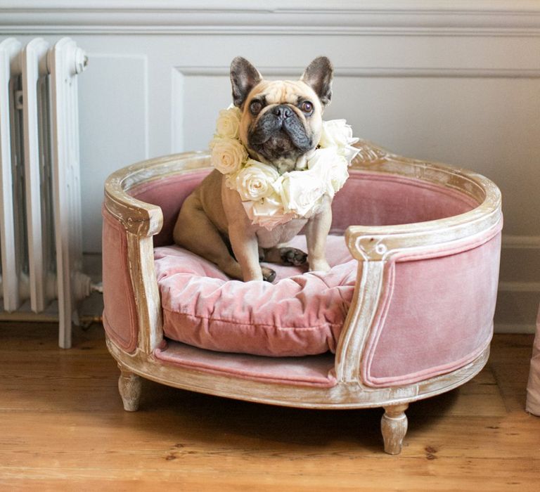 Pug with Flower Collar | Spring Equinox at Thorpe Manor Wedding Venue by Revival Rooms | Anneli Marinovich Photography