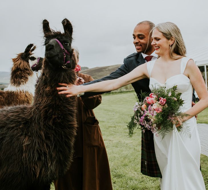 Llamas at Scottish marquee wedding